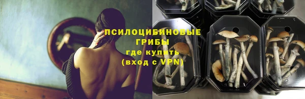 первитин Балахна