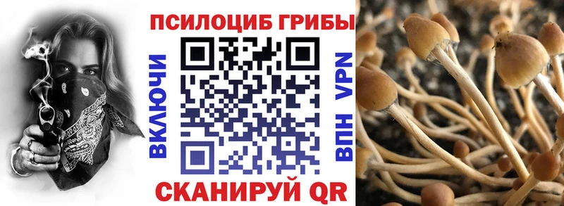 где продают наркотики  МЕГА ТОР  Псилоцибиновые грибы Psilocybe  Пересвет 